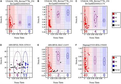 Evaluation of SNP Genotyping in Alpacas Using the Bovine HD Genotyping Beadchip